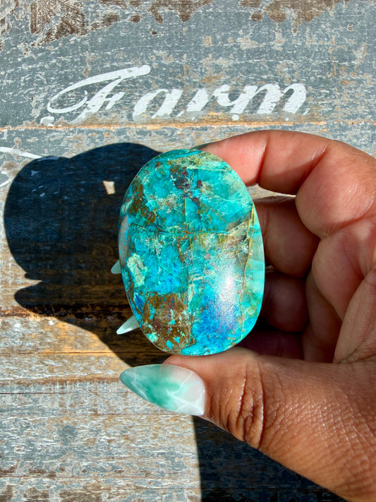 Gorgeous Chrysocolla/Azurite Palm Stone from Peru | Opt Y