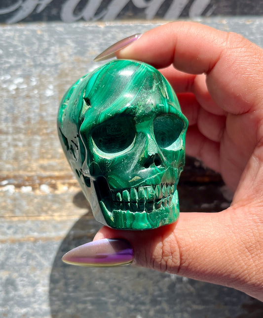 Gorgeous Hand Carved Medium Malachite Skull
