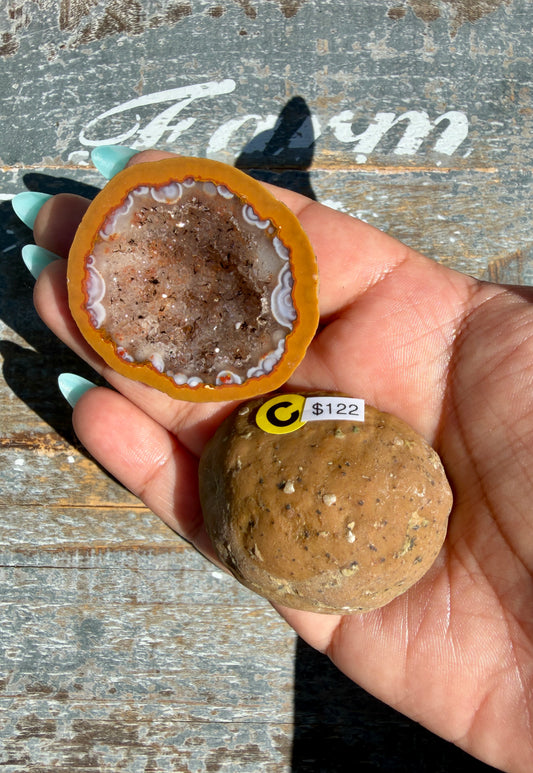 Gorgeous Druzy Agate Geode | Opt C