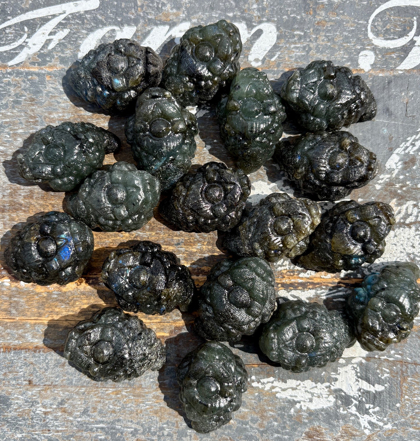 One (1) Labradorite Money Toad | Intuitively Chosen