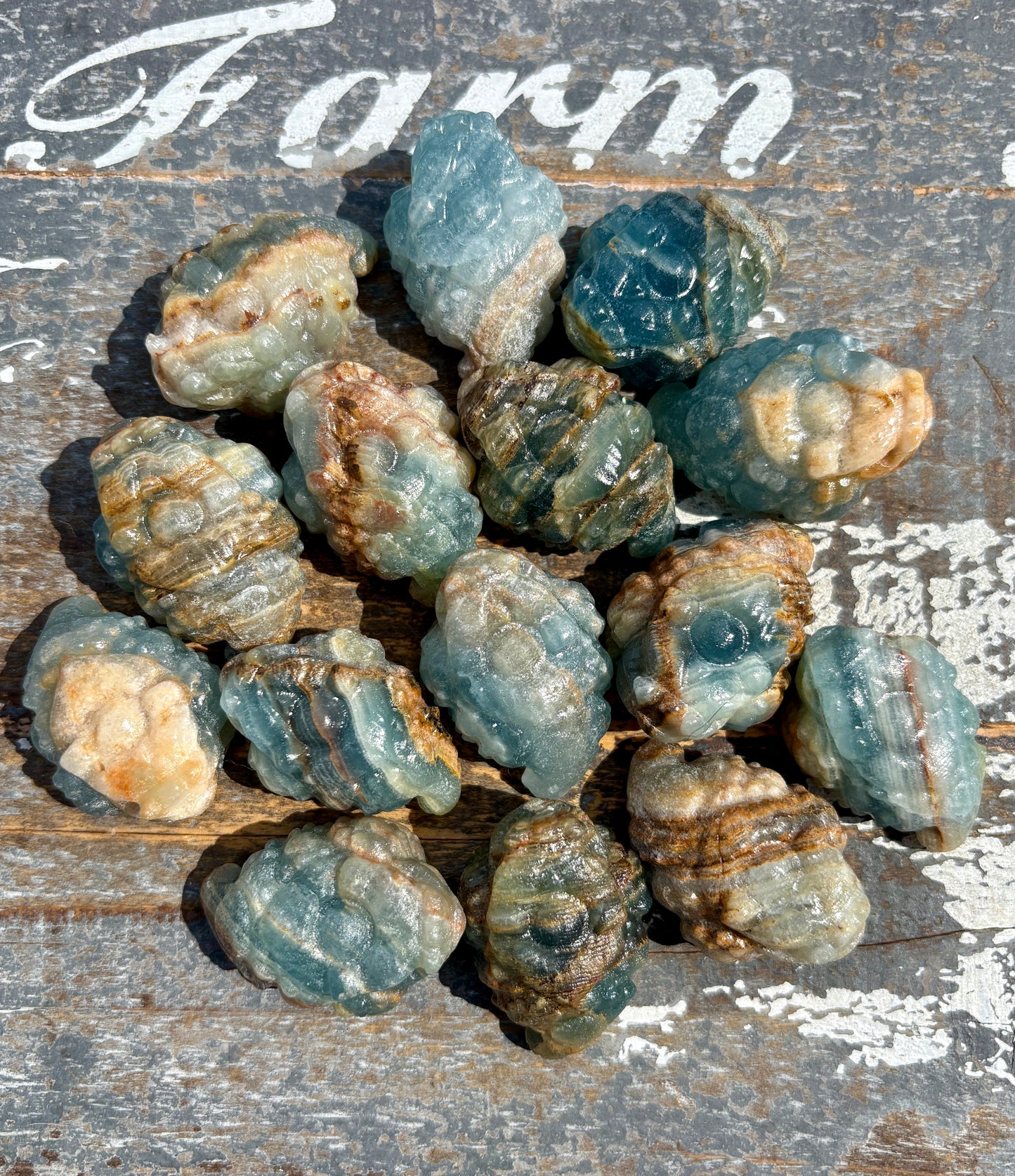 One (1) Blue Onyx Money Toad | Intuitively Chosen