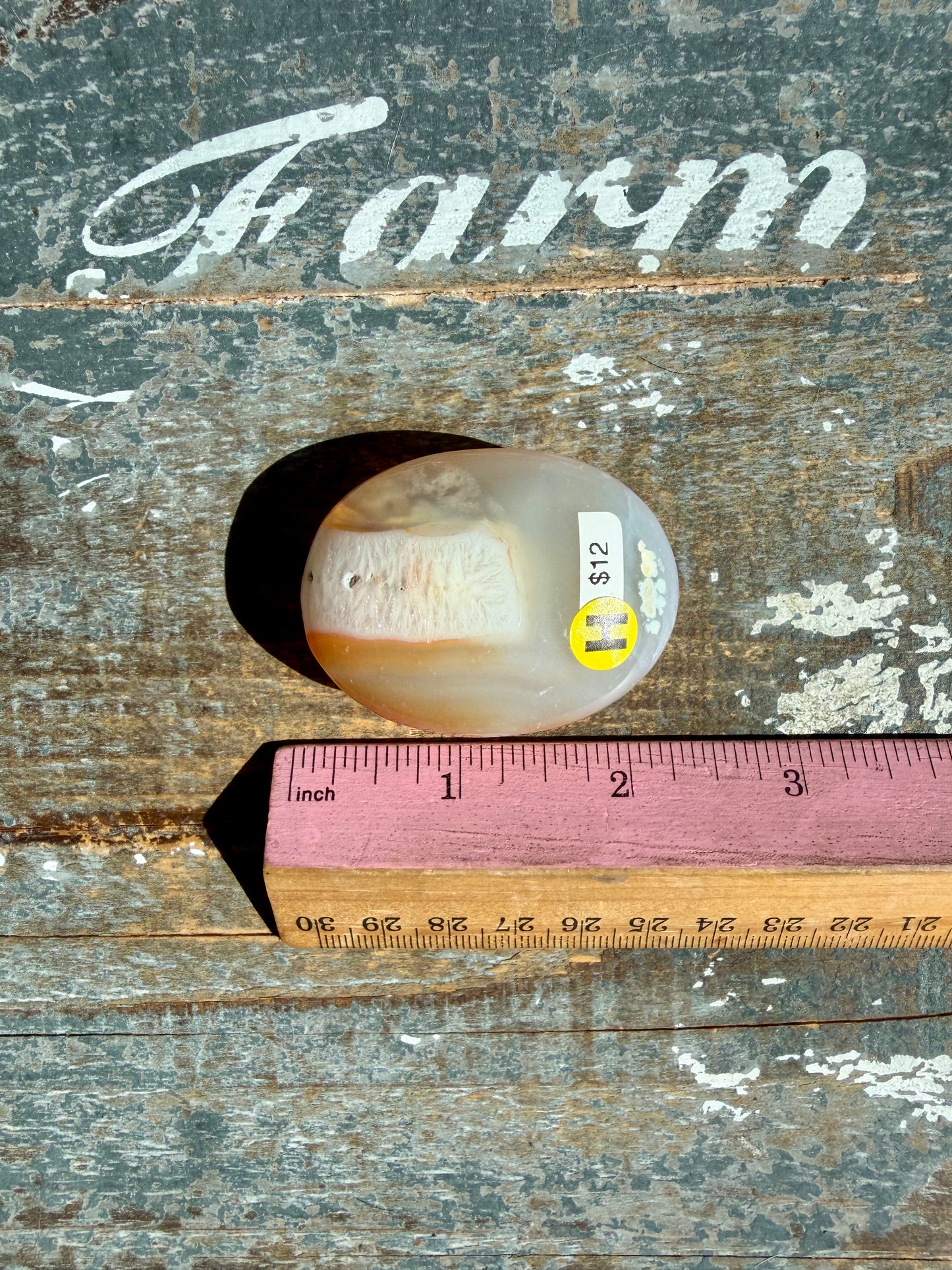 Gorgeous Carnelian/Agate Palm Stone from India | Opt H