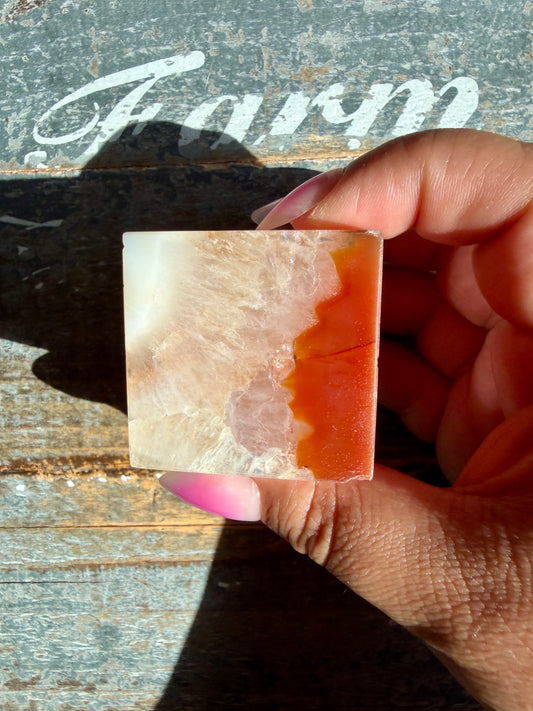 Gorgeous Carnelian Cube | Opt F