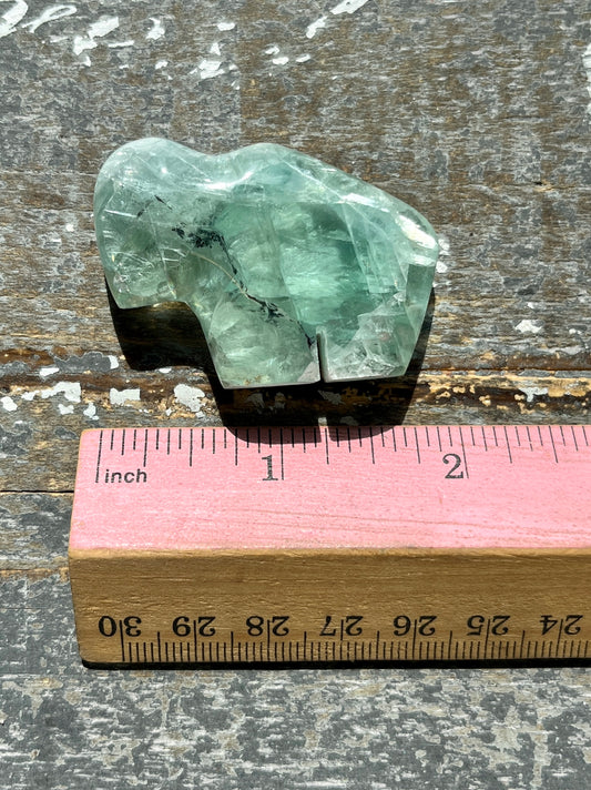 Adorable High Quality Fluorite Hand Carved Mini Buffalo from Mexico