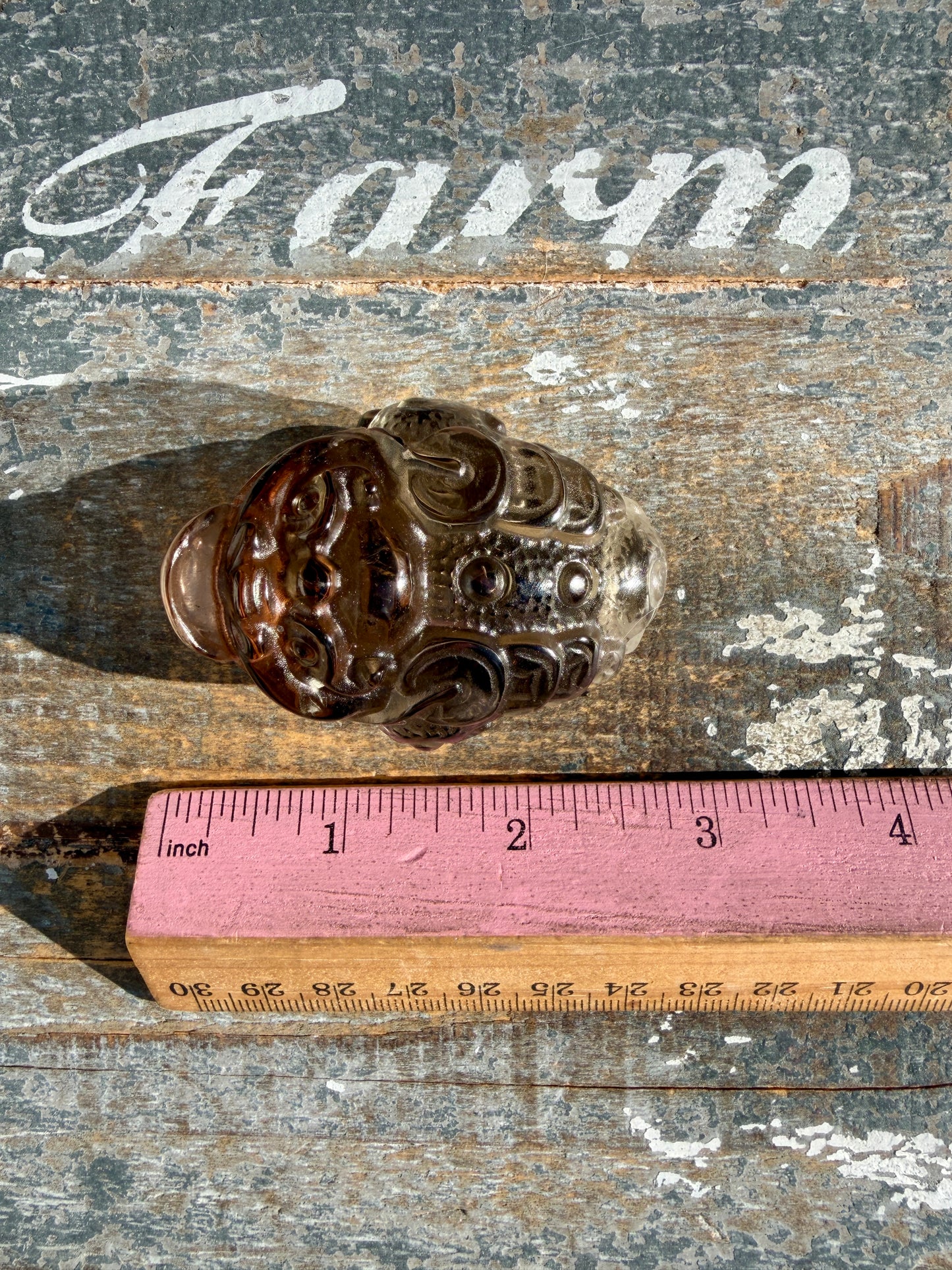 Gorgeous Dark Smokey Quartz Money Toad | Opt X