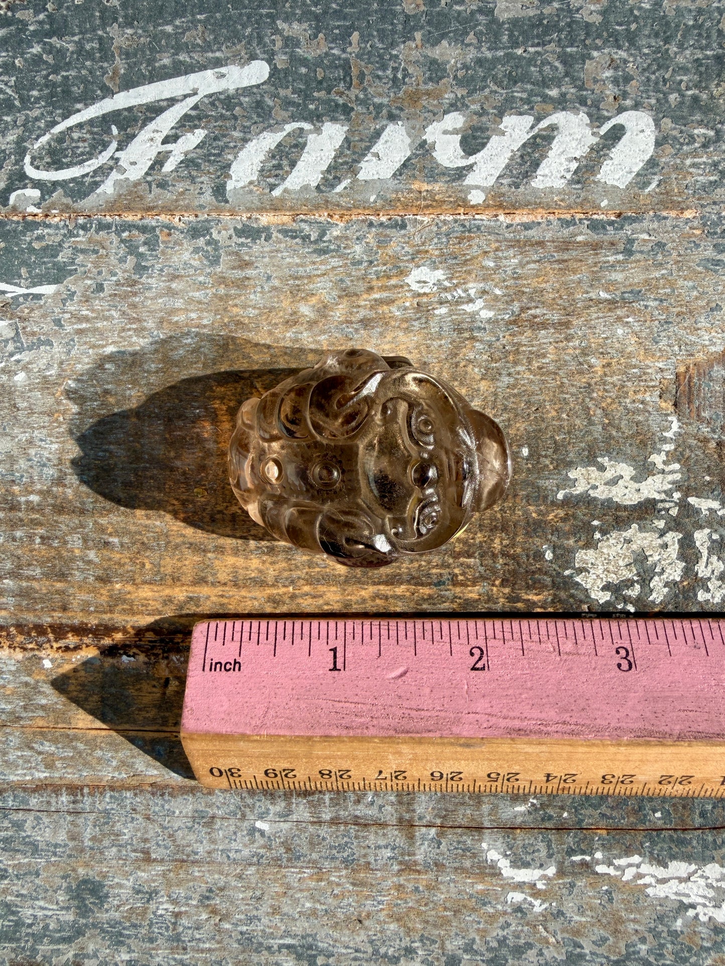Gorgeous Dark Smokey Quartz Money Toad | Opt S
