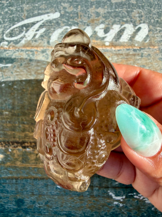Gorgeous Dark Smokey Quartz Money Toad | Opt Z