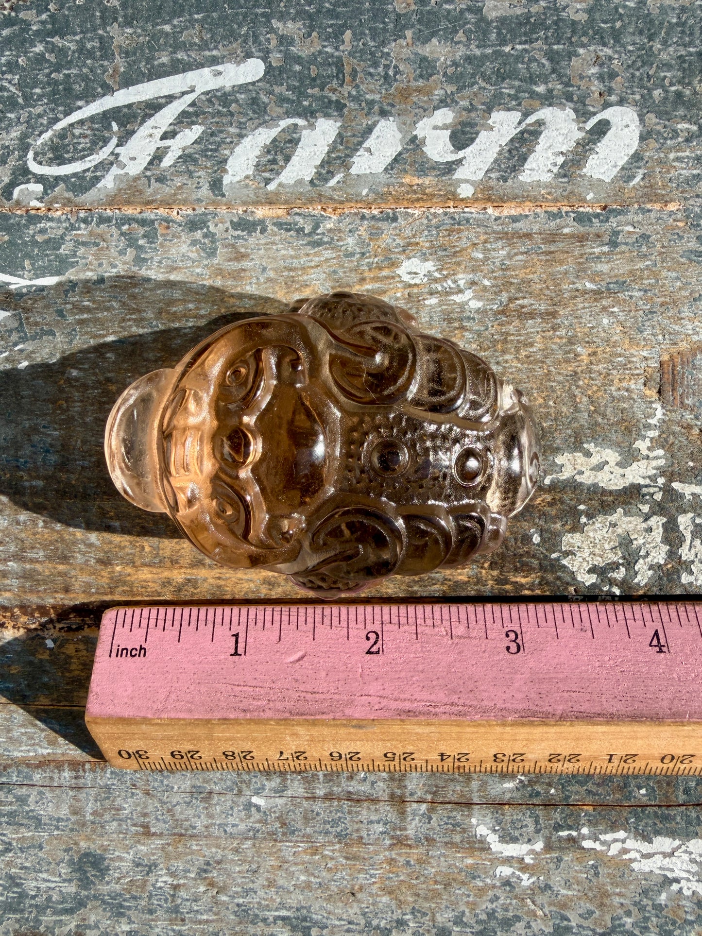 Gorgeous Dark Smokey Quartz Money Toad | Opt Z