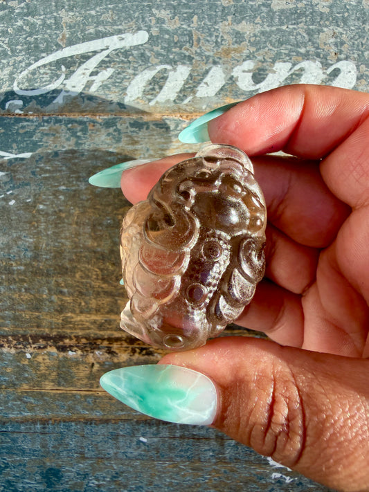 Gorgeous Dark Smokey Quartz Money Toad | Opt U