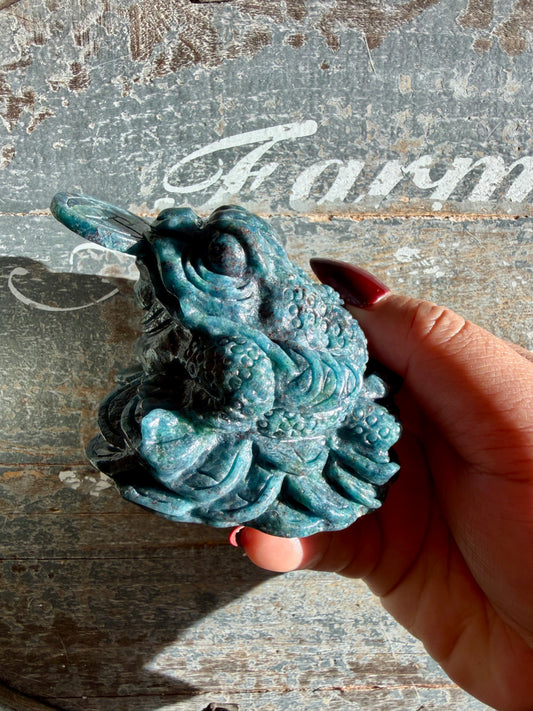 Gorgeous Ruby in Kyanite Money Toad - Only One