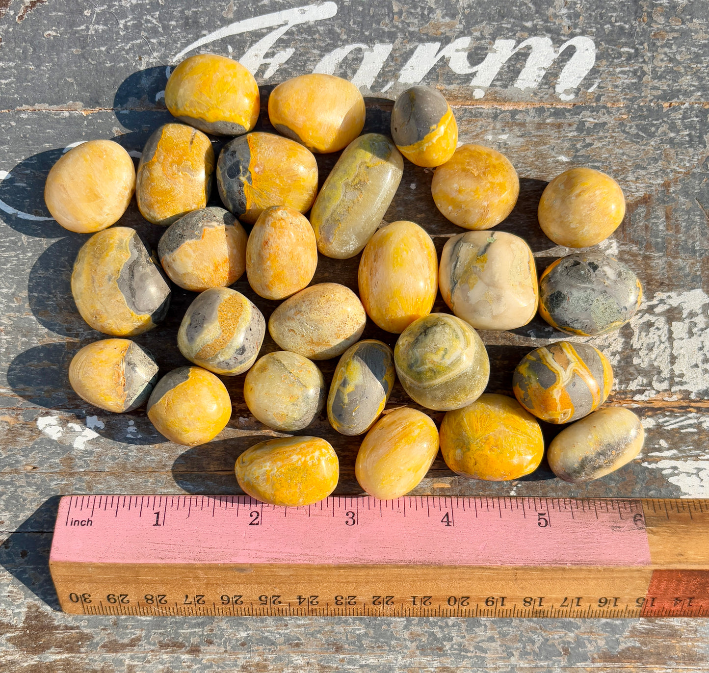 One (1) Bumble Bee Jasper Tumble | Indonesia | Intuitively Chosen