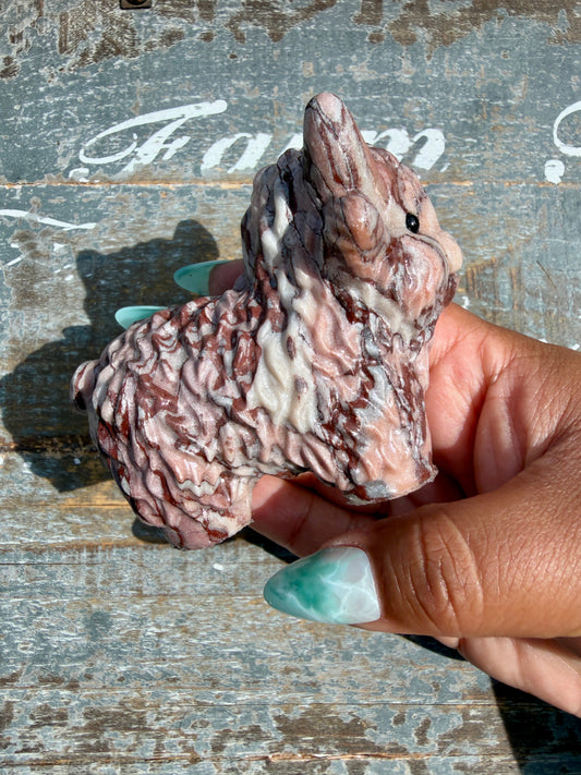 Desert Plain Jasper Highland Cow | Opt Z