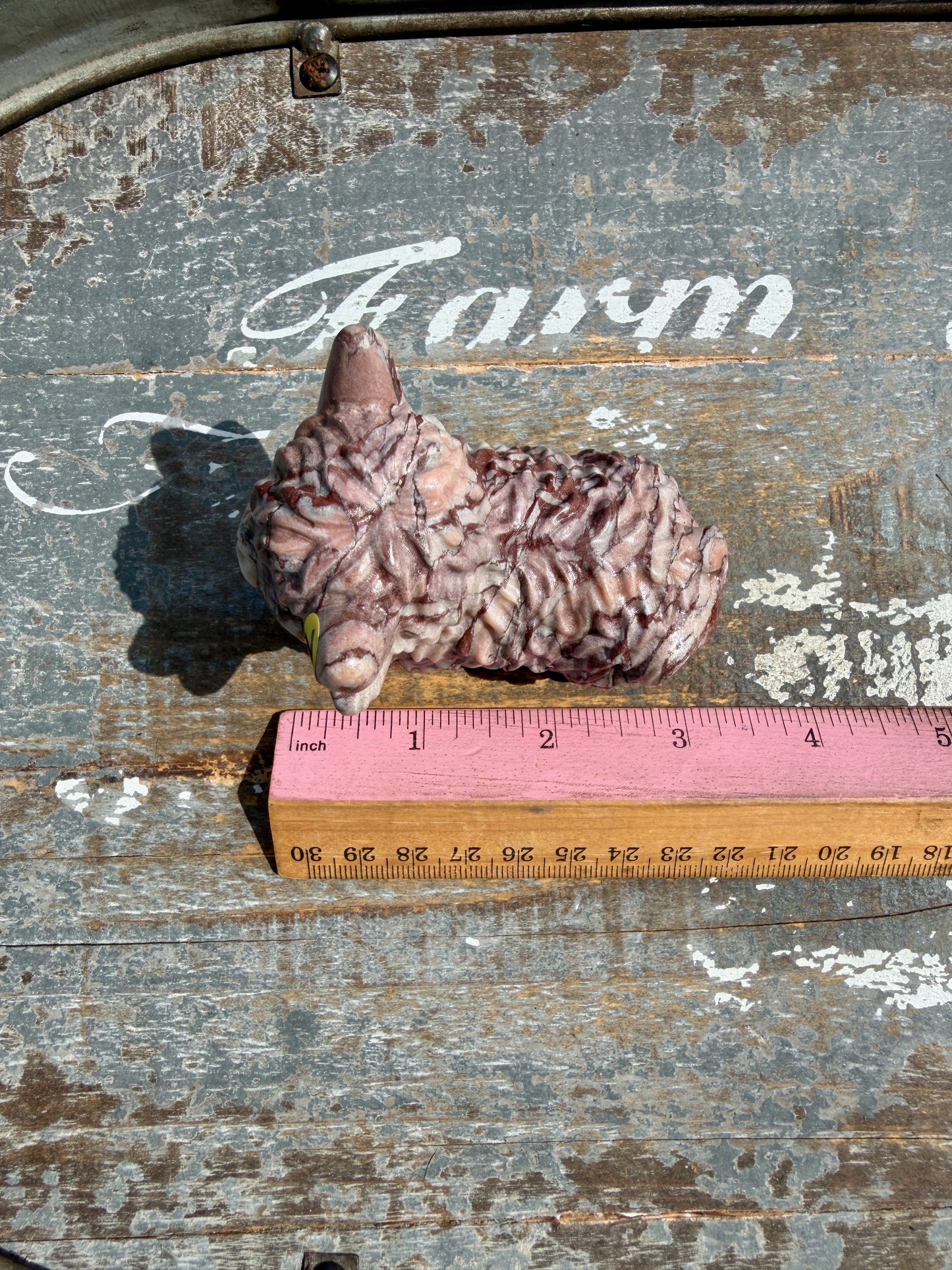 Desert Plain Jasper Highland Cow | Opt Z