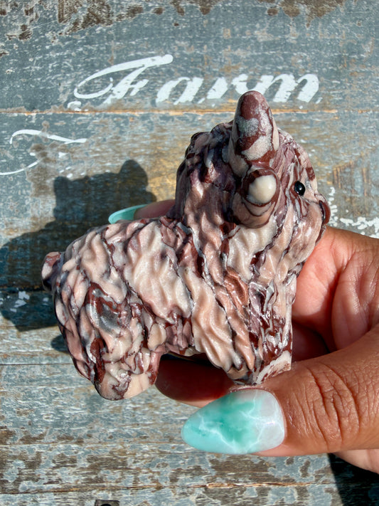 Desert Plain Jasper Highland Cow | Opt W