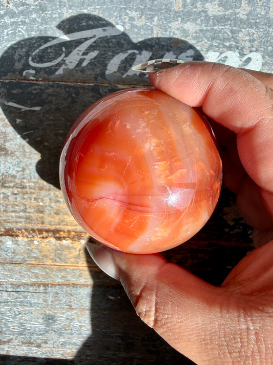 Gorgeous Carnelian/Orca Agate Sphere | Opt 47