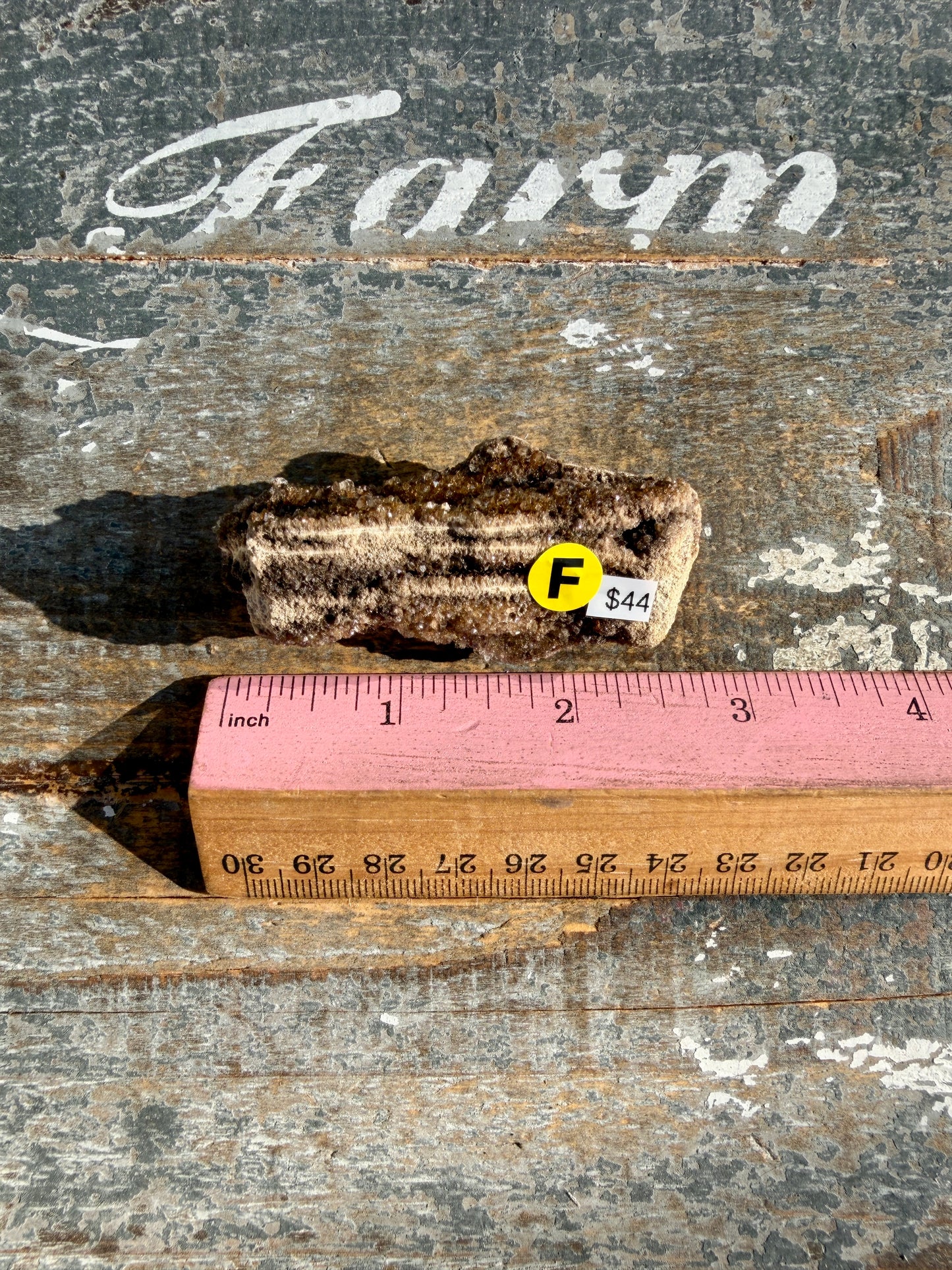 Hand-Mined Brillant Wood | Alabama | Crystal Collector Find | Opt F