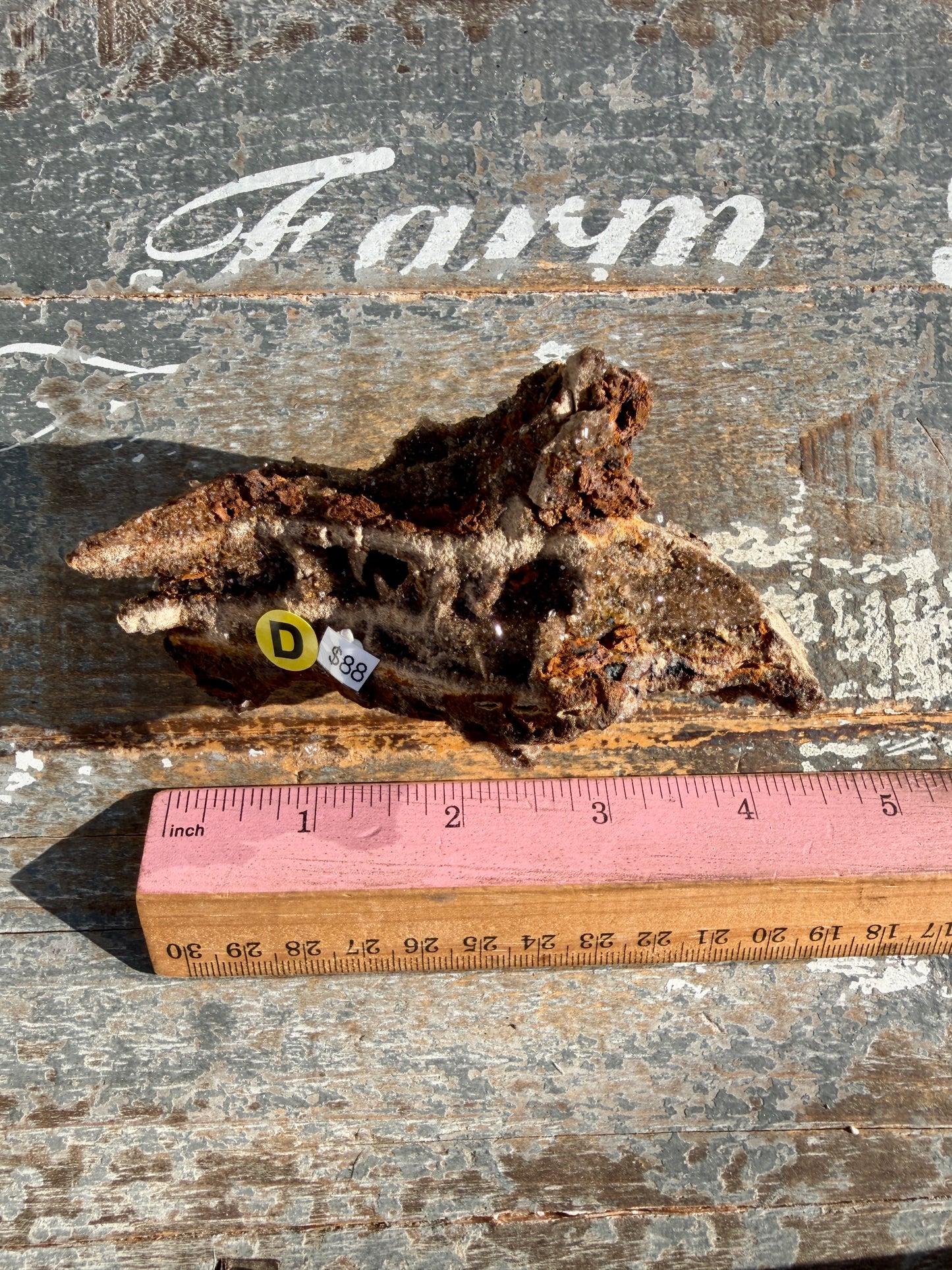 Hand-Mined Brillant Wood | Alabama | Crystal Collector Find | Opt D