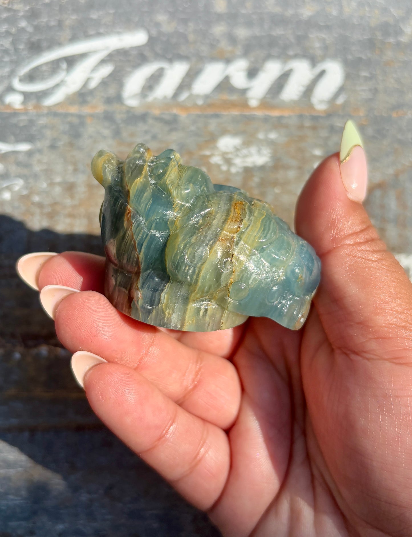 Gorgeous Blue Onyx Money Toad | Opt H