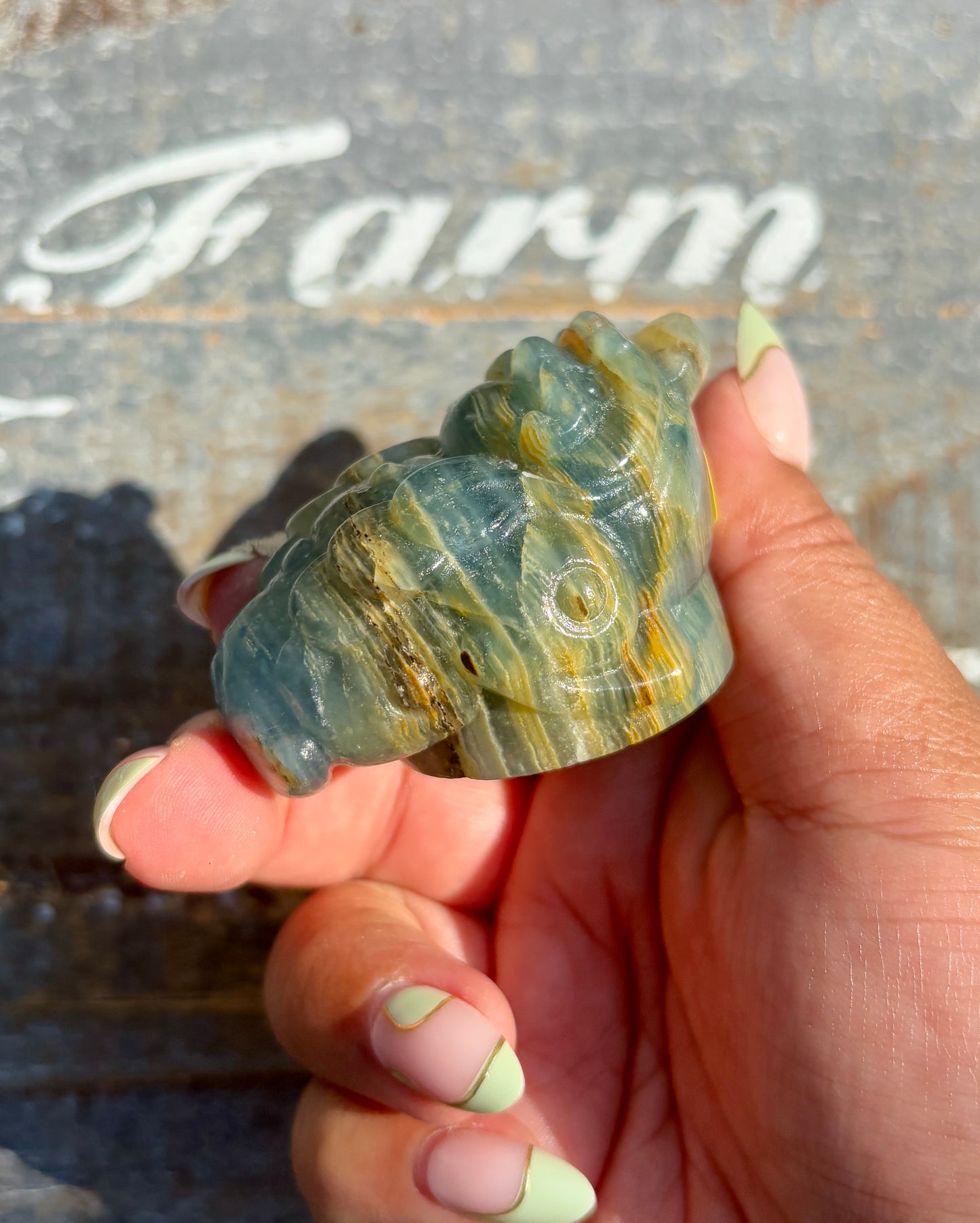 Gorgeous Blue Onyx Money Toad | Opt H