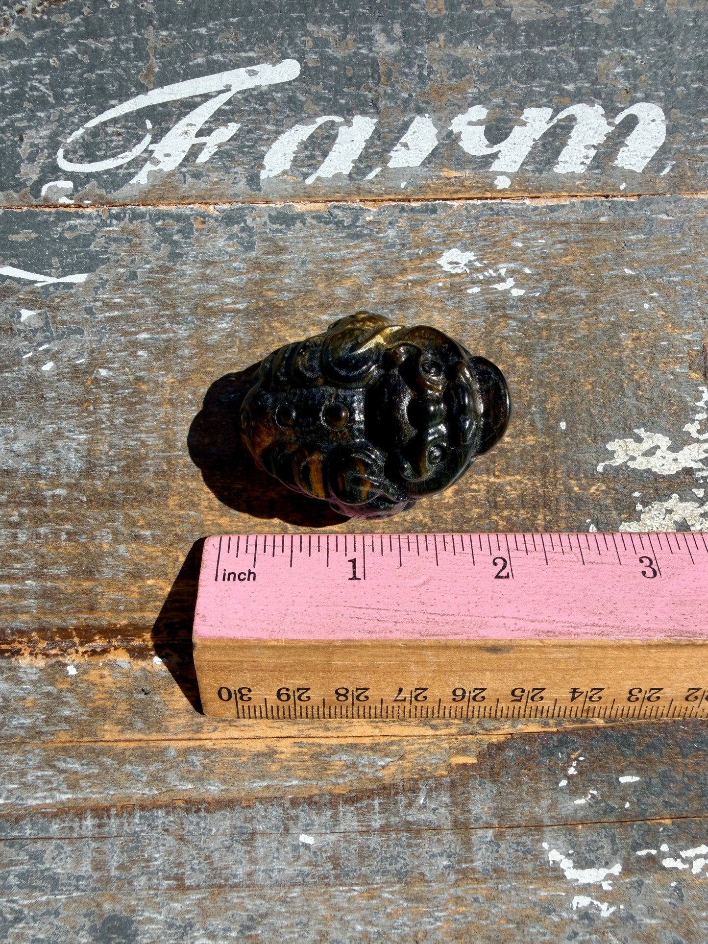 Gorgeous Blue Tigers Eye Money Toad