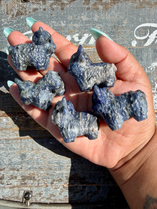 One (1) Mini Sodalite Highland Cow | Intuitively Chosen
