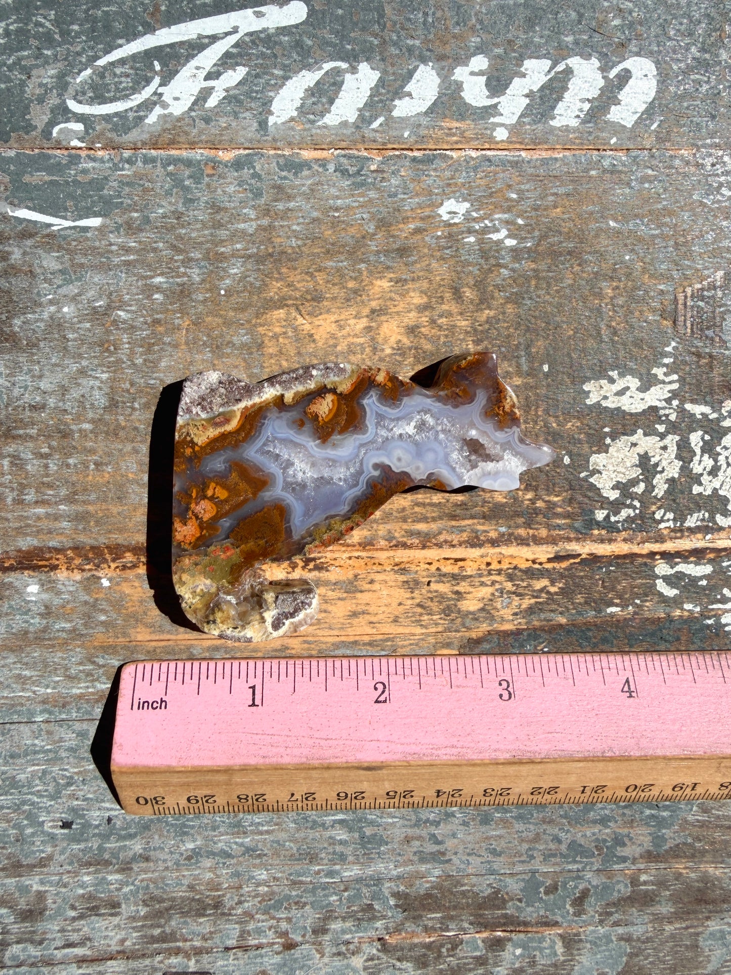 Gorgeous Indonesian Scenic Moss Agate DOG Carving | Opt 46