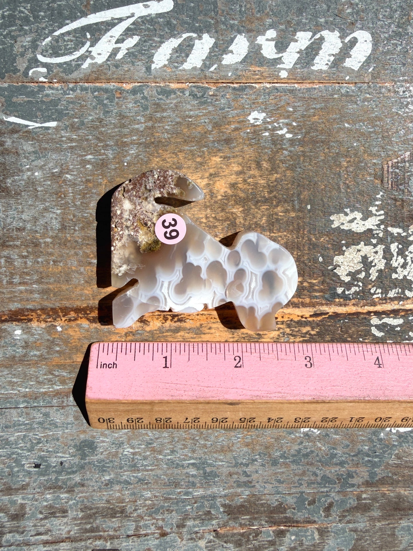Gorgeous Indonesian Scenic Moss Agate DOG Carving | Opt 39