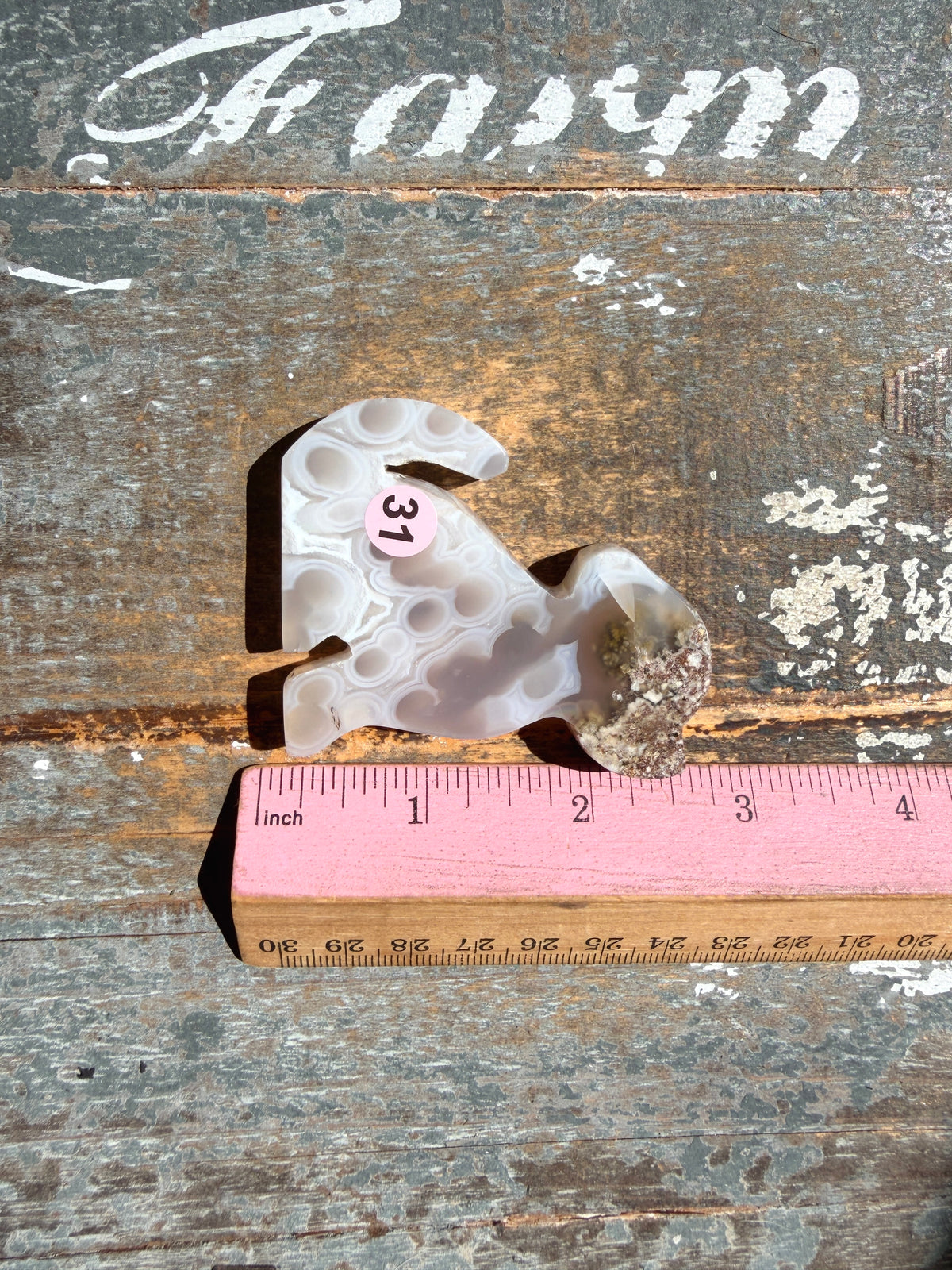 Gorgeous Indonesian Scenic Moss Agate DOG Carving | Opt 31