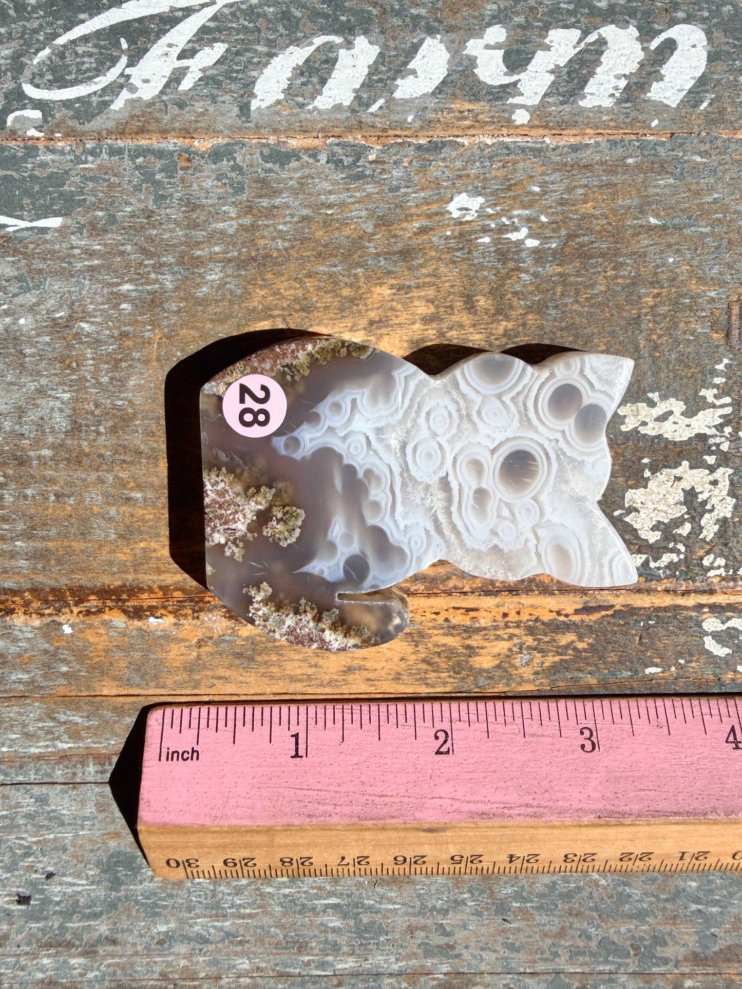 Gorgeous Indonesian Scenic Moss Agate CAT Carving | Opt 28