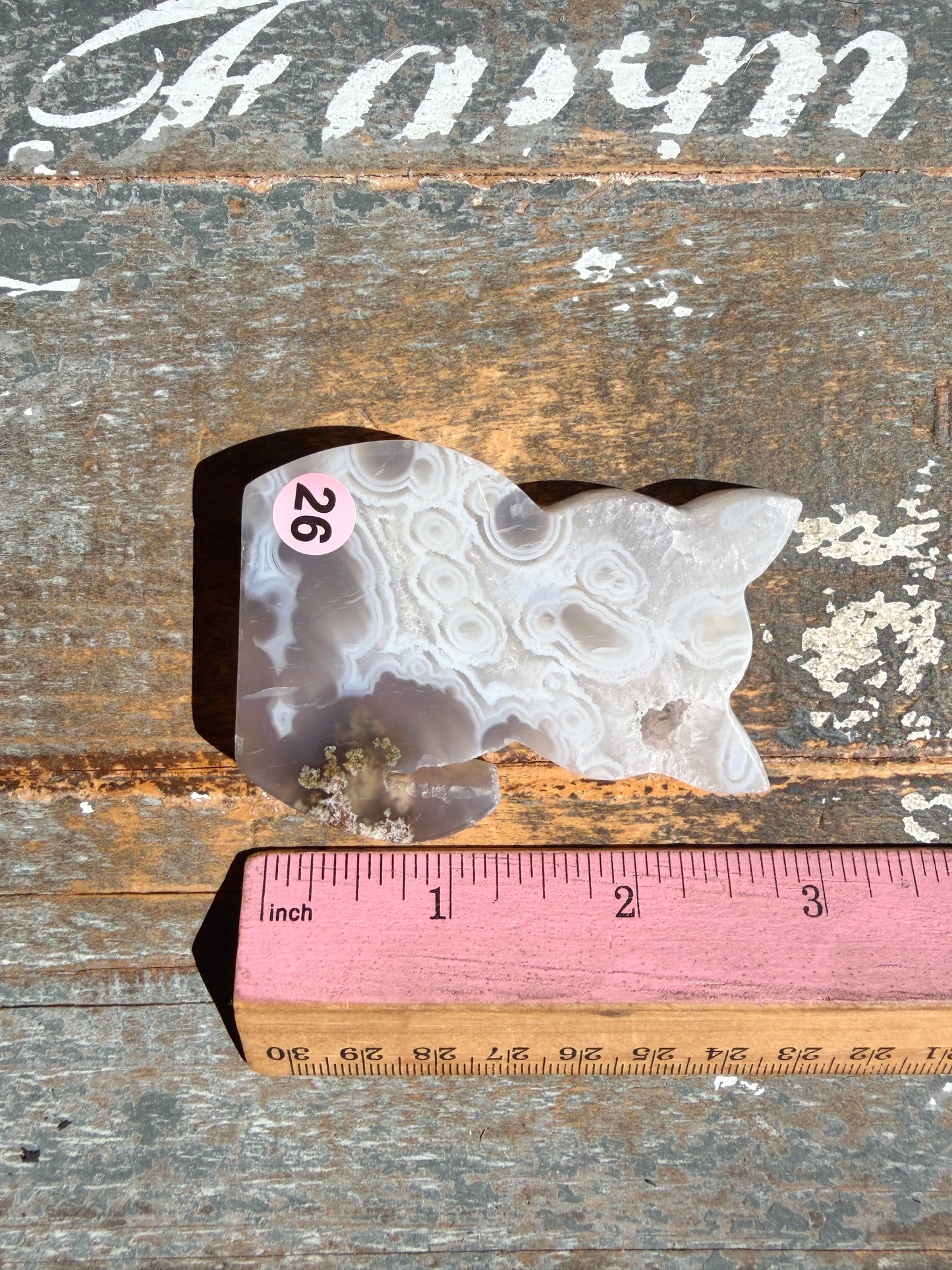 Gorgeous Indonesian Scenic Moss Agate CAT Carving | Opt 26