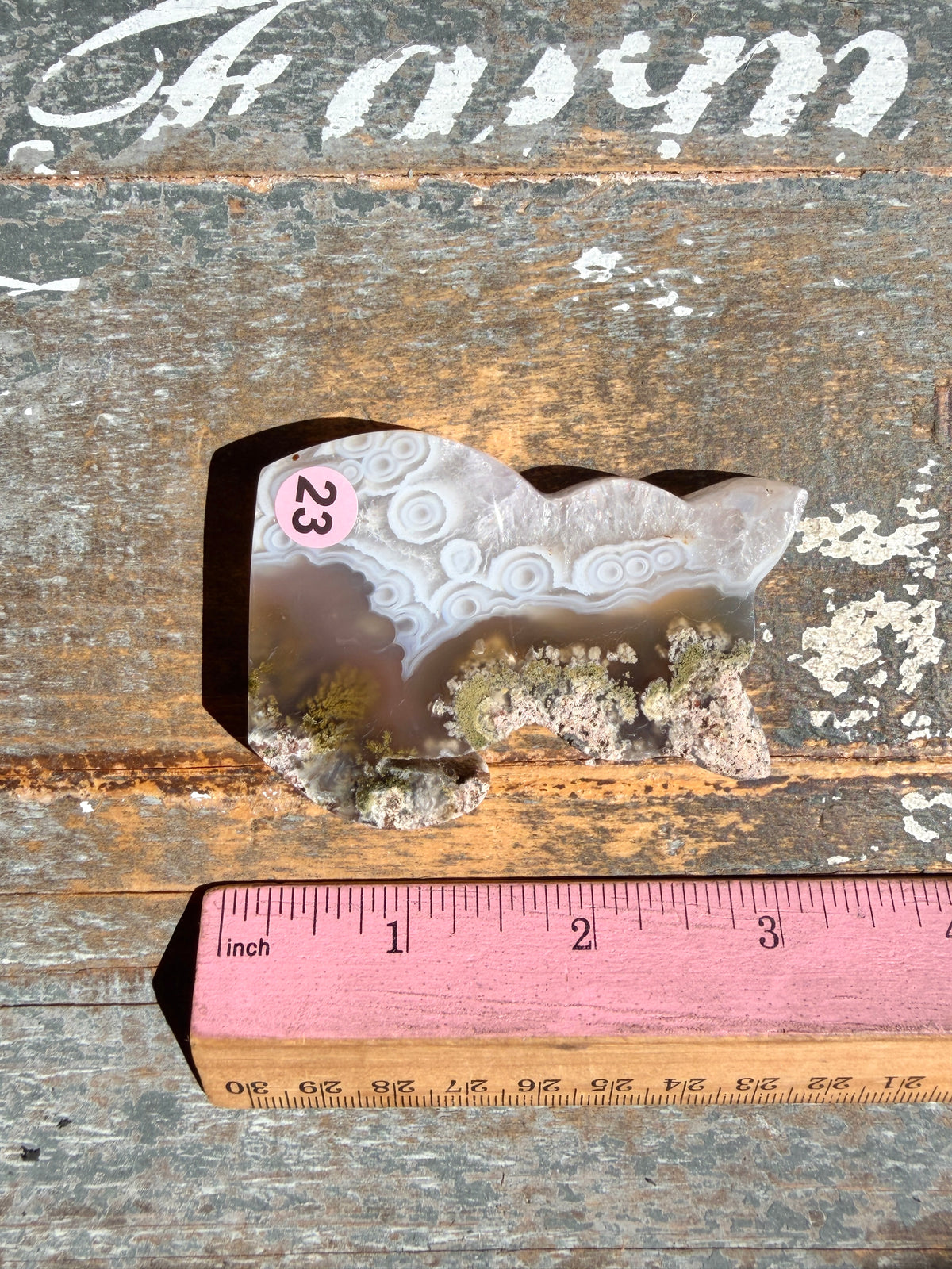 Gorgeous Indonesian Scenic Moss Agate CAT Carving | Opt 23