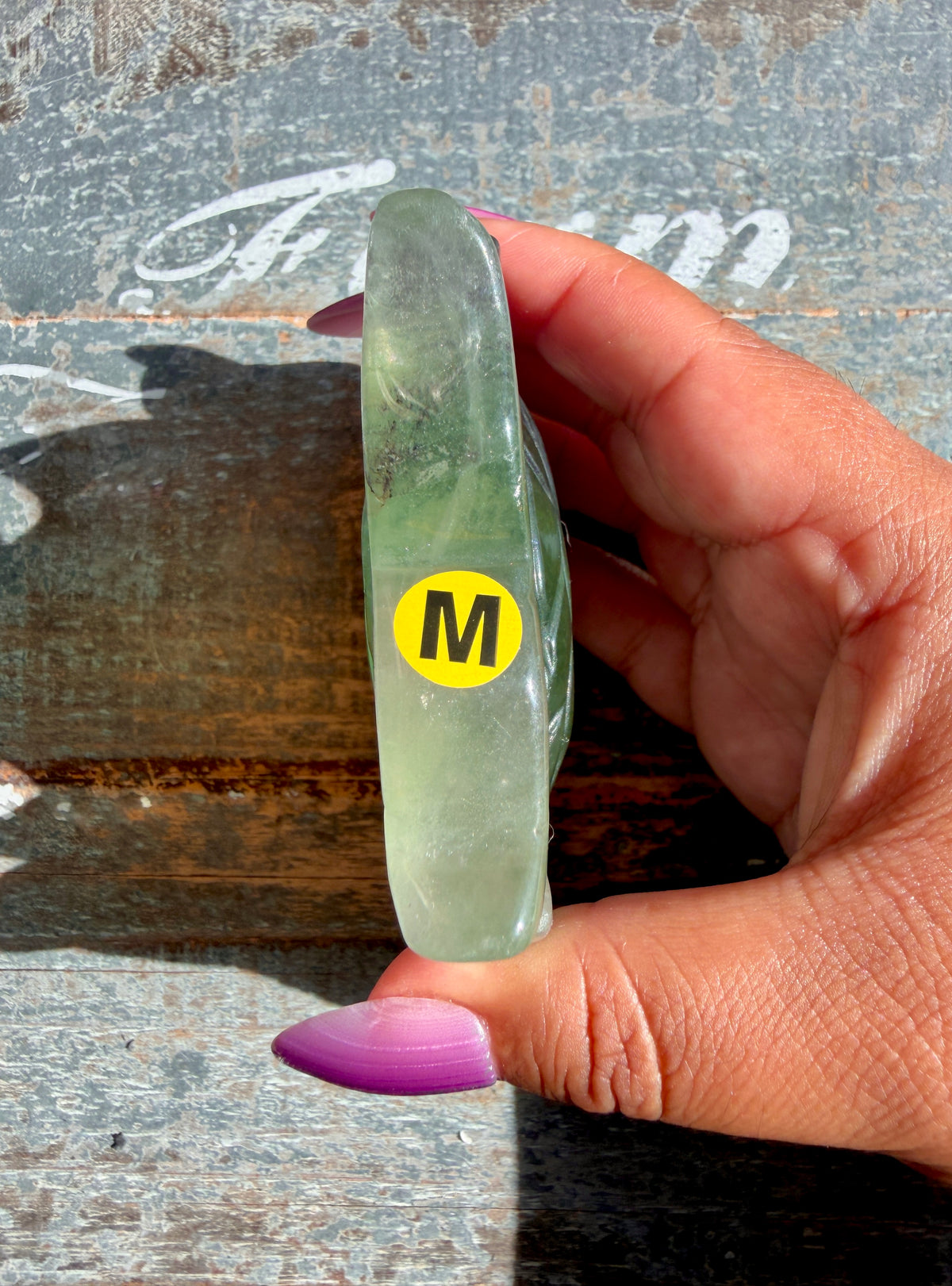 Adorable Rainbow Fluorite Fish | Opt M