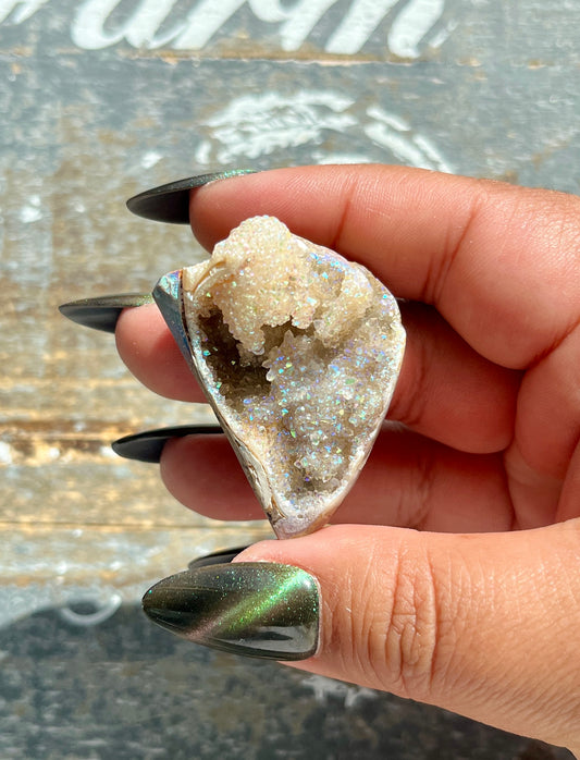 Gorgeous Opal Azotic Coated Fossilized Druzy Shell *Tucson Gem Show Exclusive*