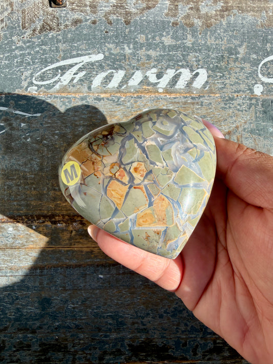 Gorgeous Ibis Jasper Heart | Madagascar | Opt M