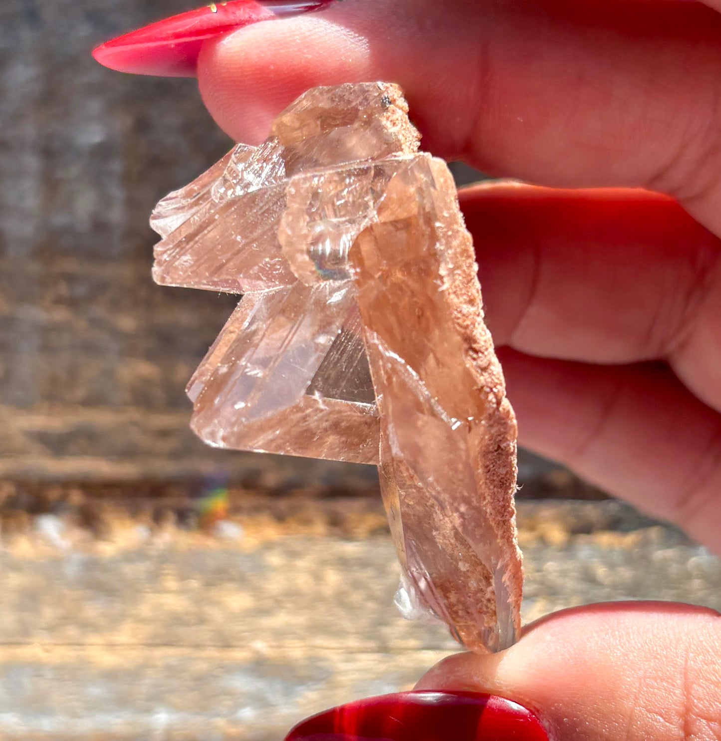 Gorgeous *RARE Naica Selenite