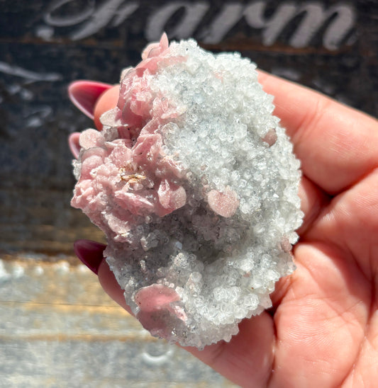 Gorgeous Rhodochrosite on Quartz