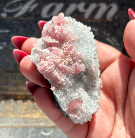 Gorgeous Rhodochrosite on Quartz