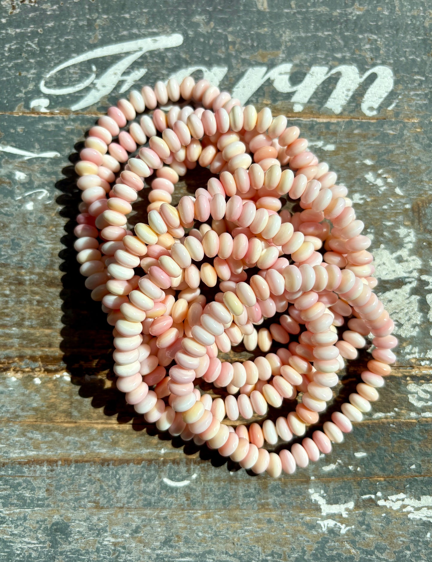 One (1) Gorgeous Queen Conch Shell Bracelet