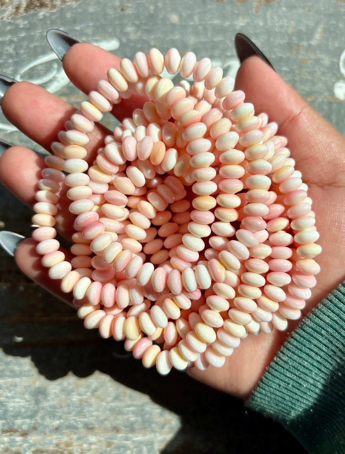 One (1) Gorgeous Queen Conch Shell Bracelet