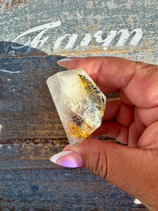 Gorgeous High Quality Dendritic Golden Healer | Opt R