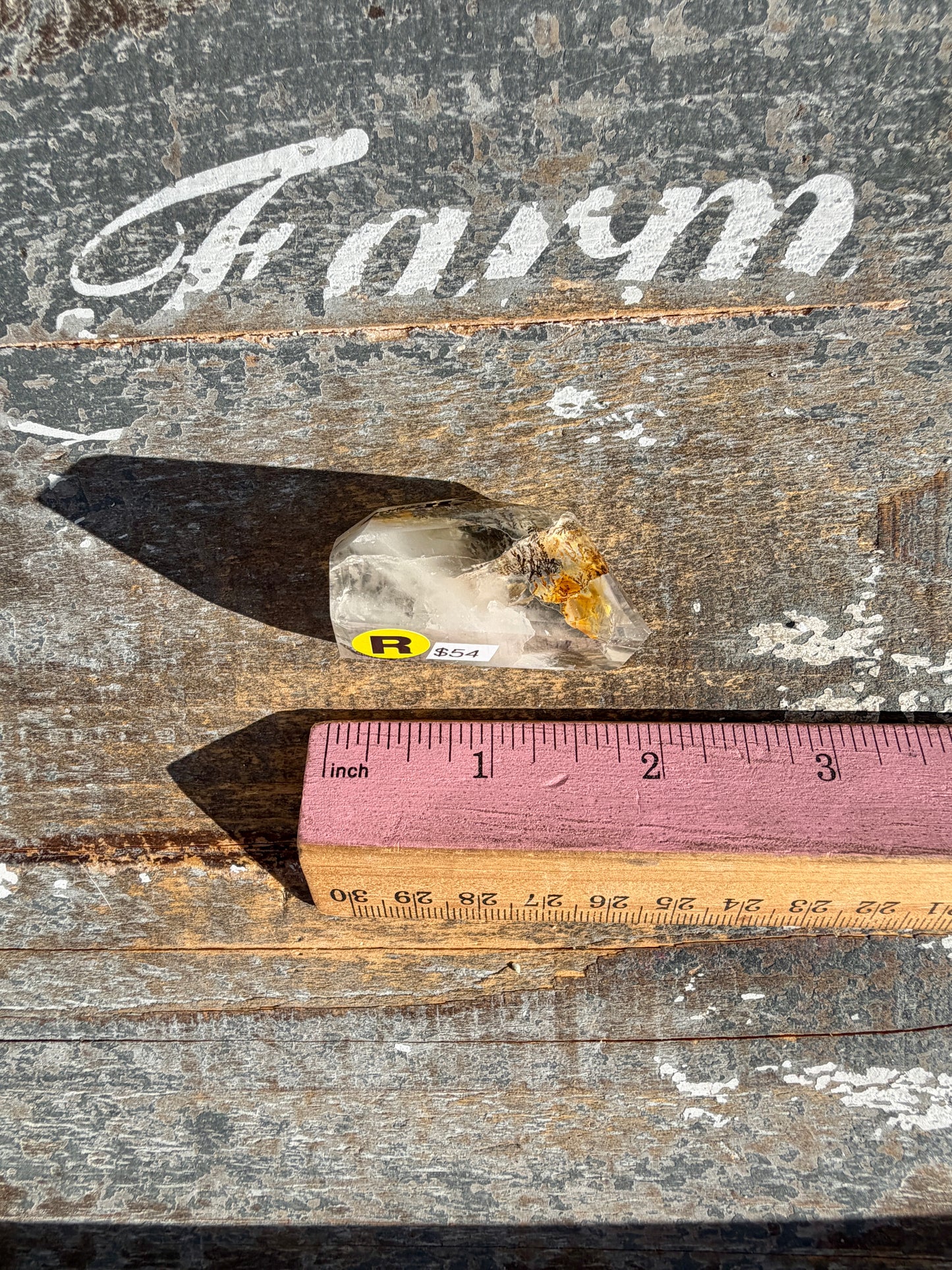 Gorgeous High Quality Dendritic Golden Healer | Opt R
