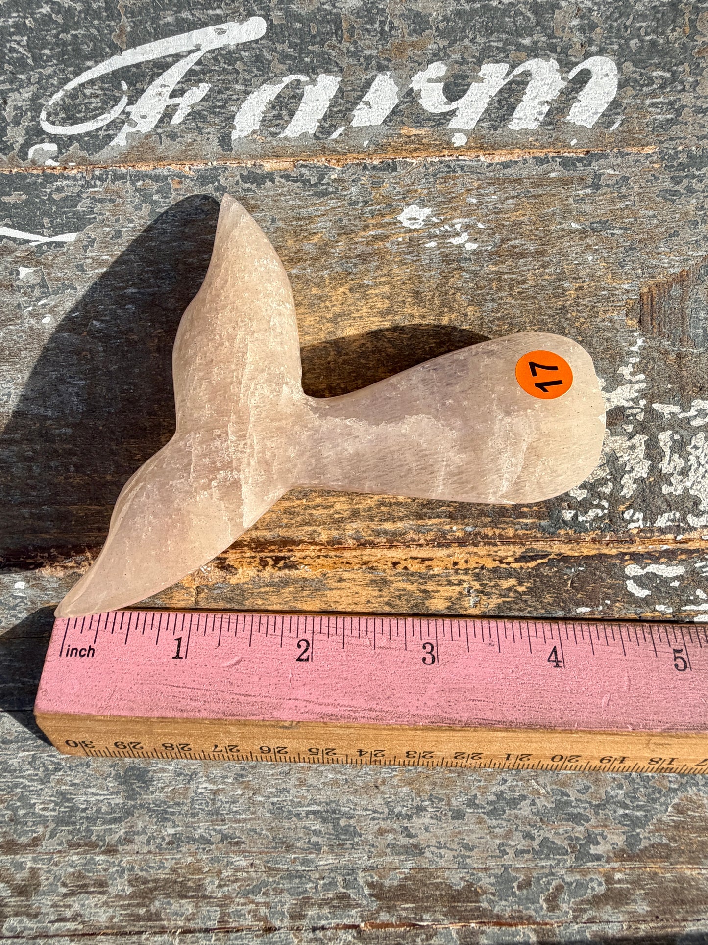 Gorgeous Blue Flash Moonstone Whale Tail | Opt 17