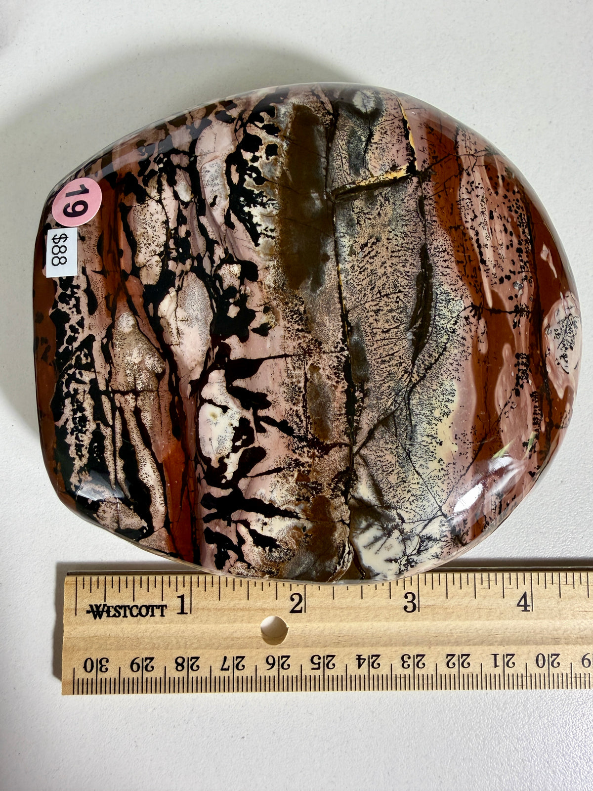 Gorgeous Picture Jasper Freeform | Opt 19
