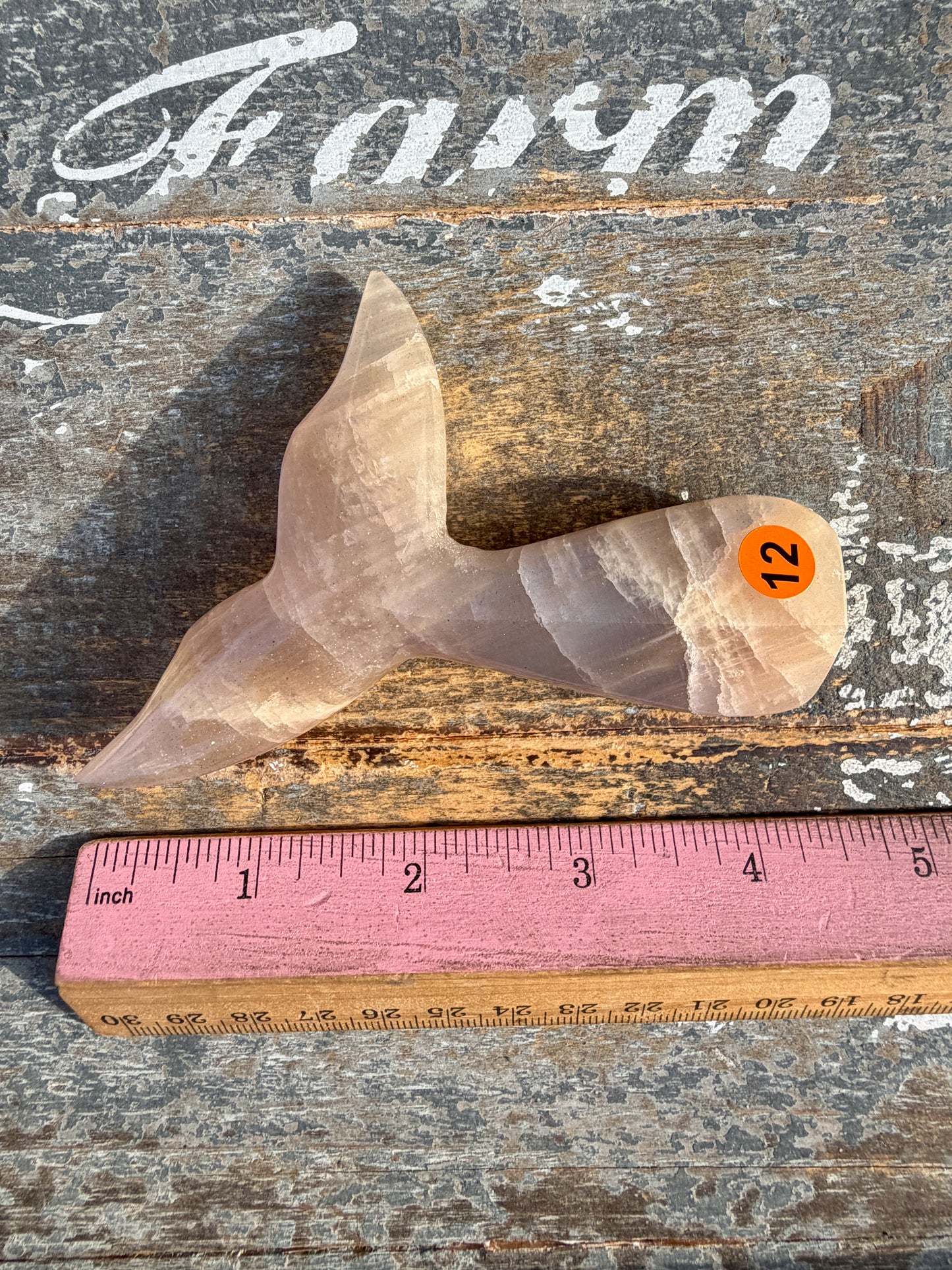 Gorgeous Blue Flash Moonstone Whale Tail | Opt 12