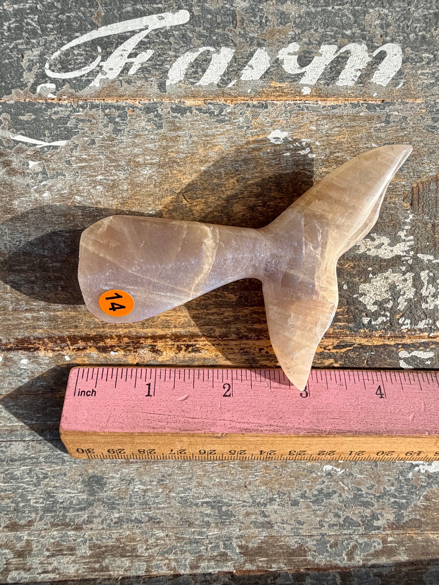 Gorgeous Blue Flash Moonstone Whale Tail | Opt 14