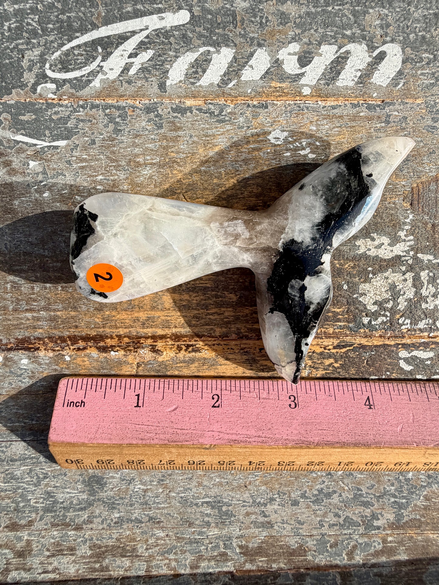 Gorgeous Rainbow Moonstone Whale Tail | India | Opt 2