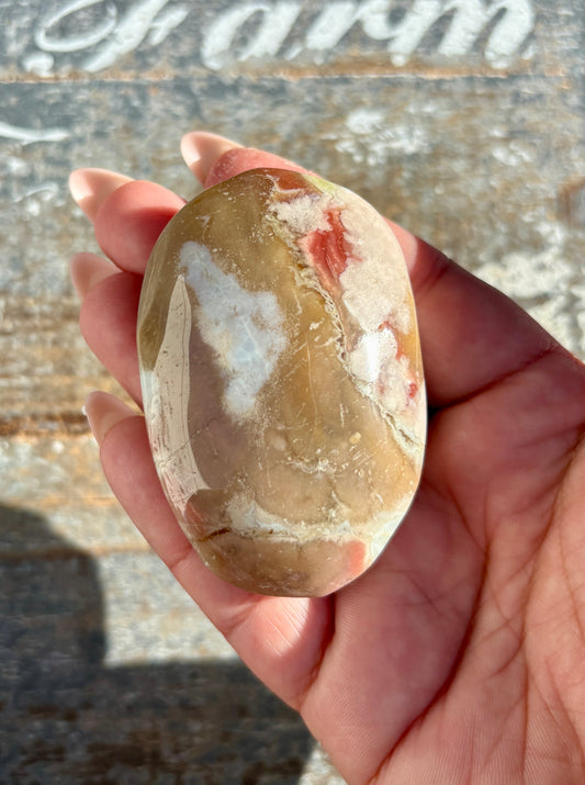 Gorgeous Green Flower Agate Palm Stone from Madagascar | Opt G