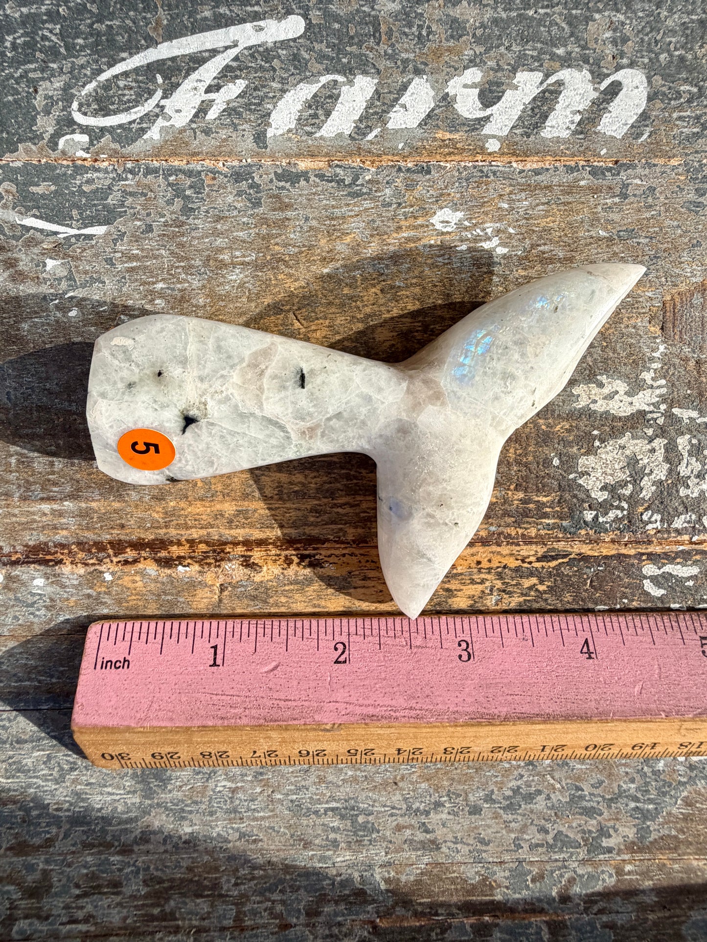 Gorgeous Rainbow Moonstone Whale Tail | India | Opt 5
