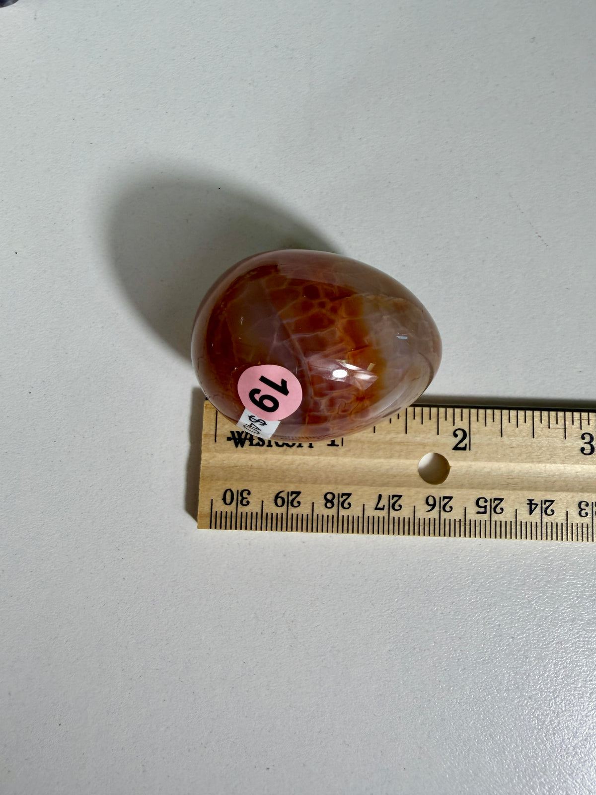 Gorgeous Snake Skin Agate Egg | Opt 19