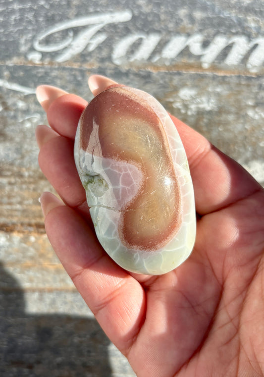 Gorgeous Green Flower Agate Palm Stone from Madagascar | Opt J